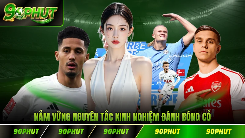 Nắm vững nguyên tắc kinh nghiệm đánh bóng cỏ cơ bản
